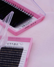 Load image into Gallery viewer, Black Lashes - NEW!
